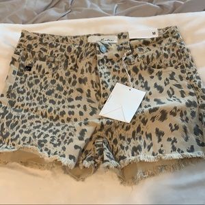 NWT Kancan leopard shorts